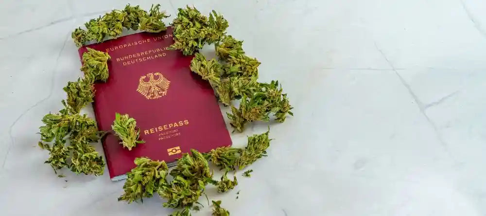 Reisen mit medizinischem Cannabis