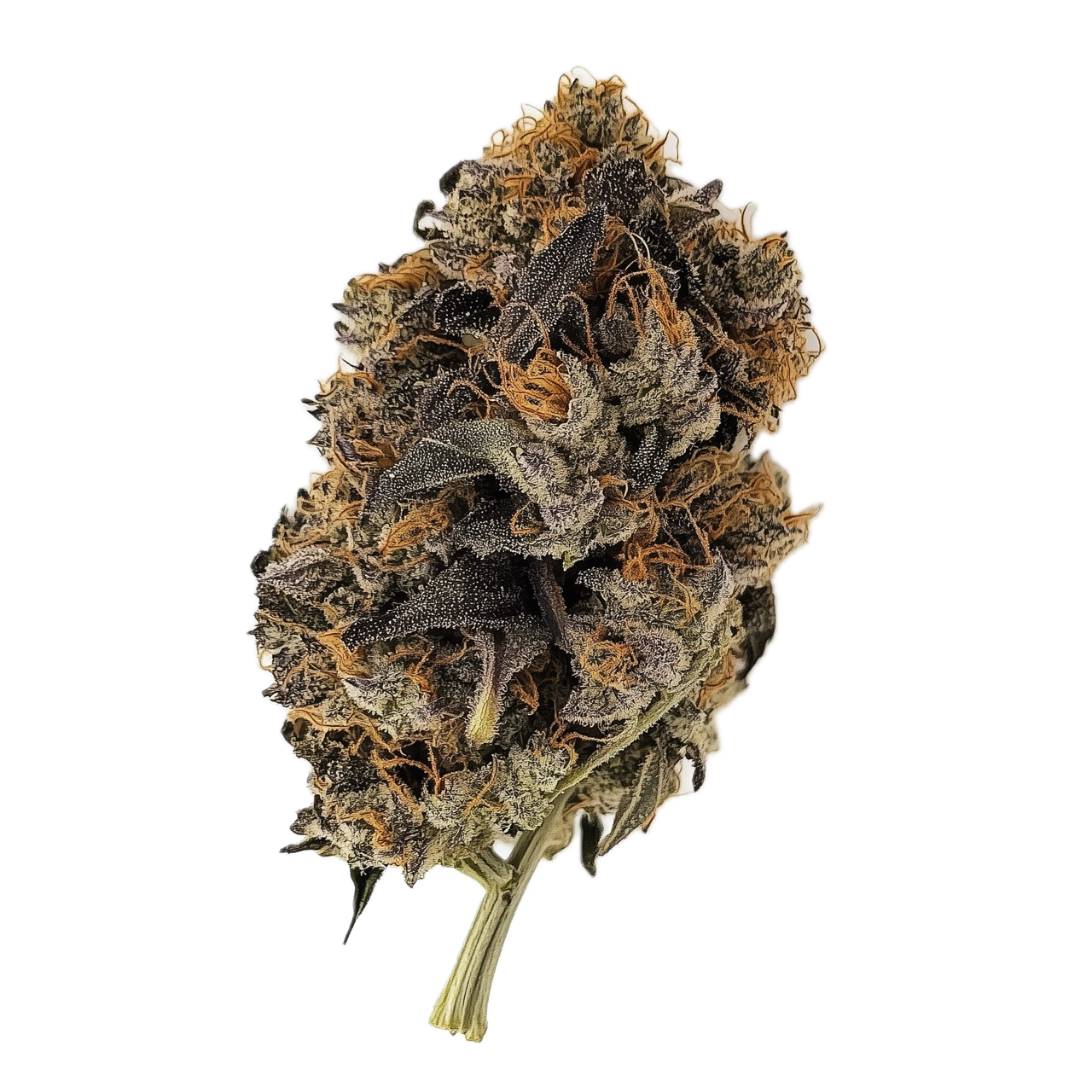 420 Evolution 36/1 PCH "Peach Chementine"